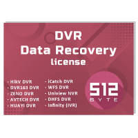 Advanced Software for DVR & NVR Video Recovery Suit